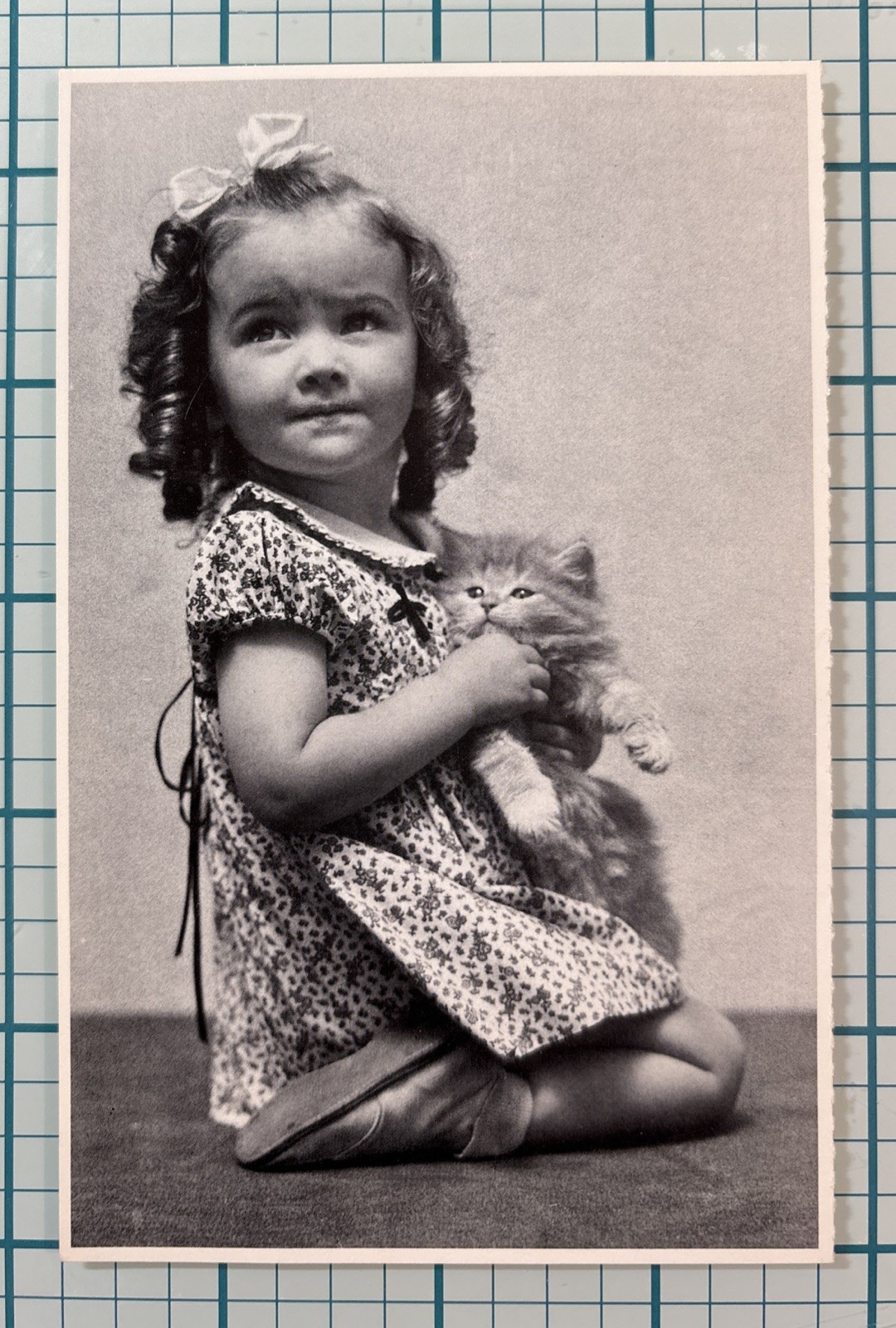 Postcard Vintage Picture of a Little Girl and Kitten