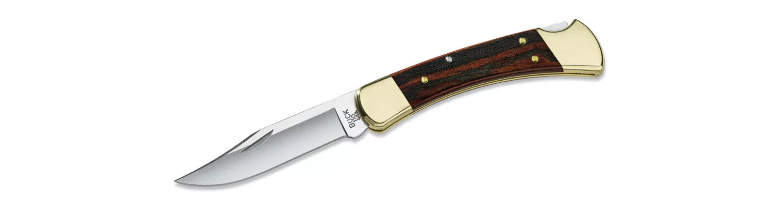 Buck 110 Ebony Folding Hunter Lockback Knife with Leather Sheath - New in Box