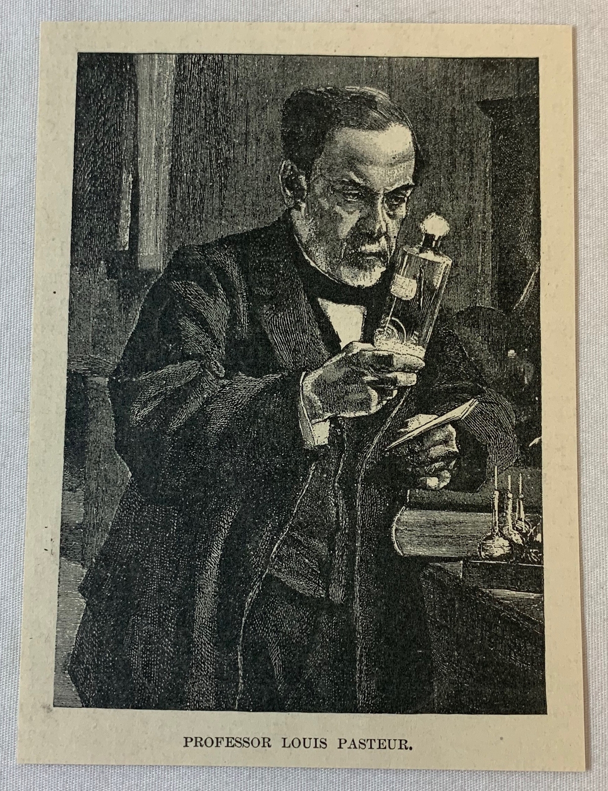 1895 magazine engraving ~ PROFESSOR LOUIS PASTEUR