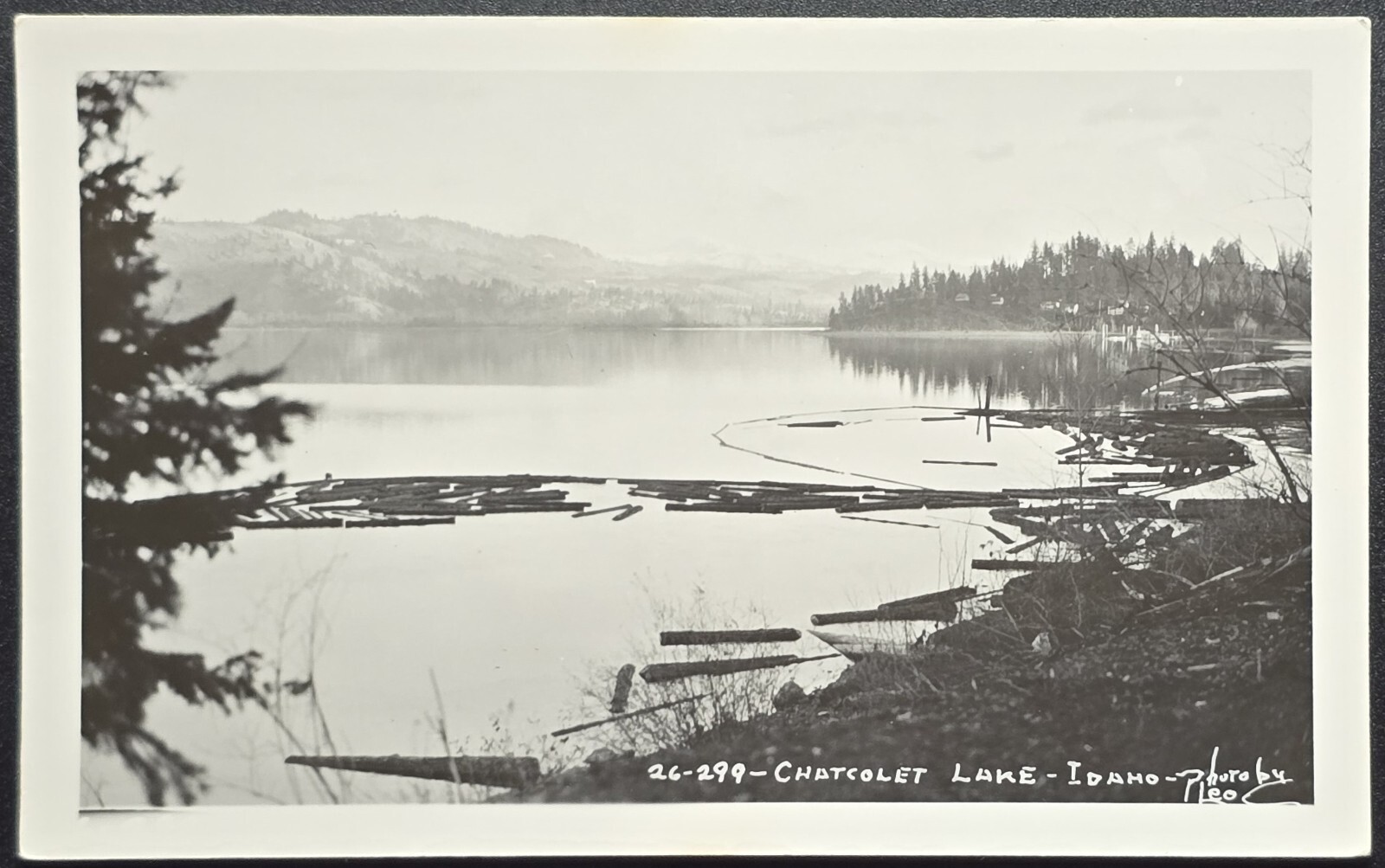 1940s Chatcolet Lake Idaho RPPC Logging Scene Photo by Leo
