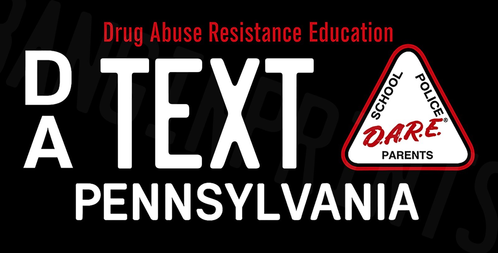 PENNSYLVANIA -DRUG ABUSE DARE Custom State License Plate Personalized 12\