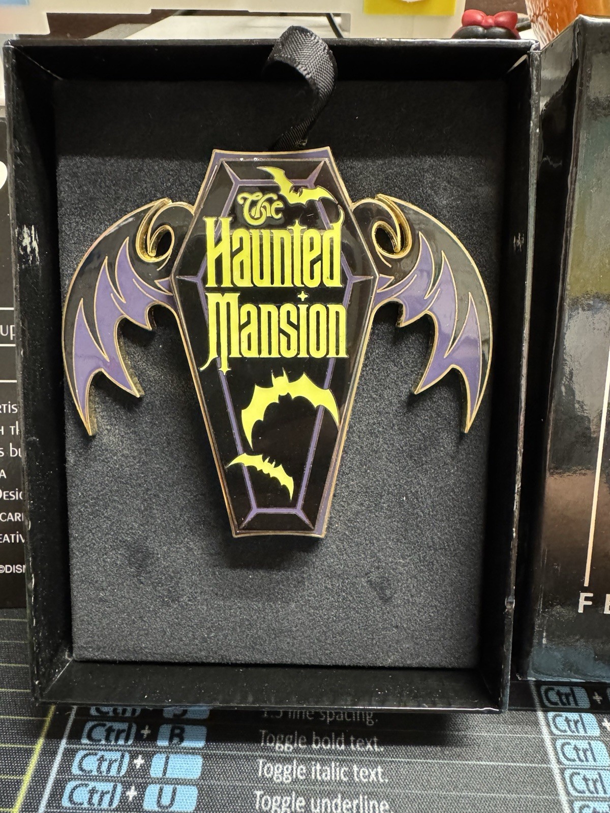 Disney Pin Haunted Mansion Featured Artist Dying to Meet You Coffin LE750 Jumbo