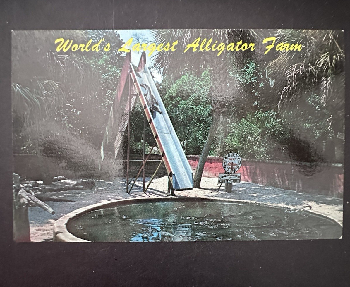 Vintage Postcard World's Largest Alligator Farm St. Augustine Florida A6