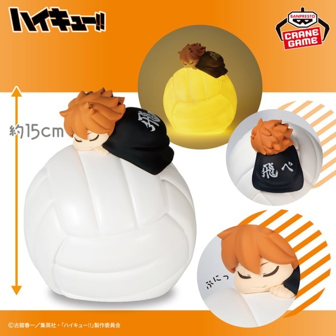Haikyu Suyasuya Room Light -Shoyo Hinata-