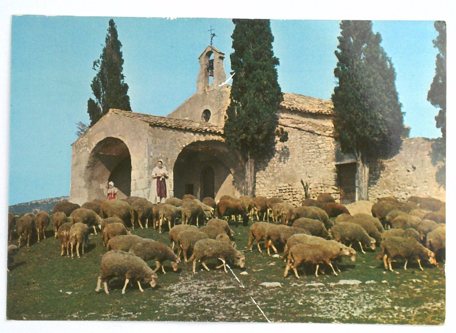 Vintage Les Belles Images de Provence Postcard Sheep at Chapelle Saint-Sixte Vintage Les Belles Images de Provence Postcard Sheep at Chapelle Saint-Sixte