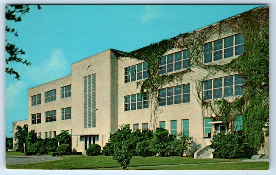 McNeese State College LAKE CHARLES Louisiana USA Postcard
