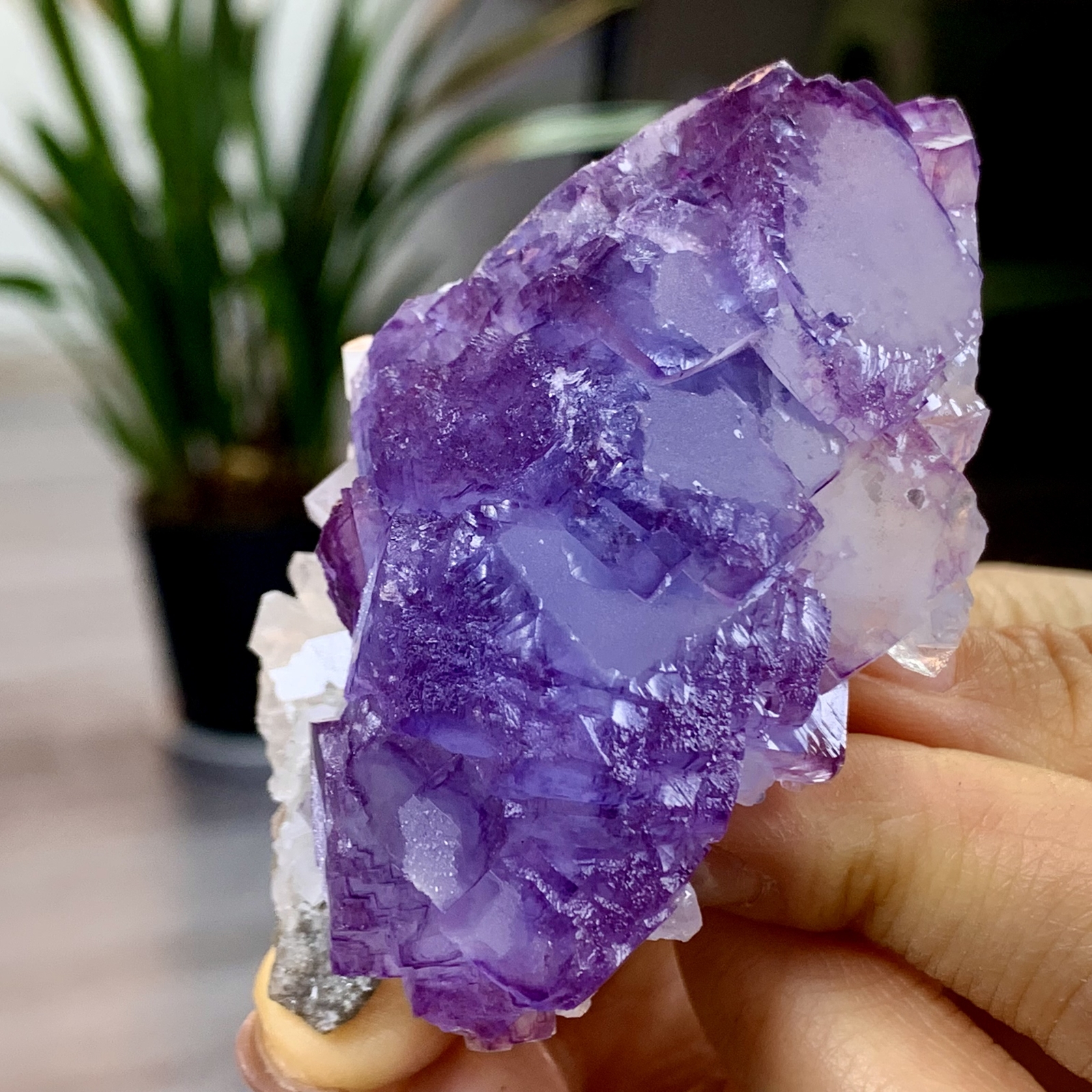 136G Natural fluorite Purple Blue cubic mineral crystal sample/yaogangxian