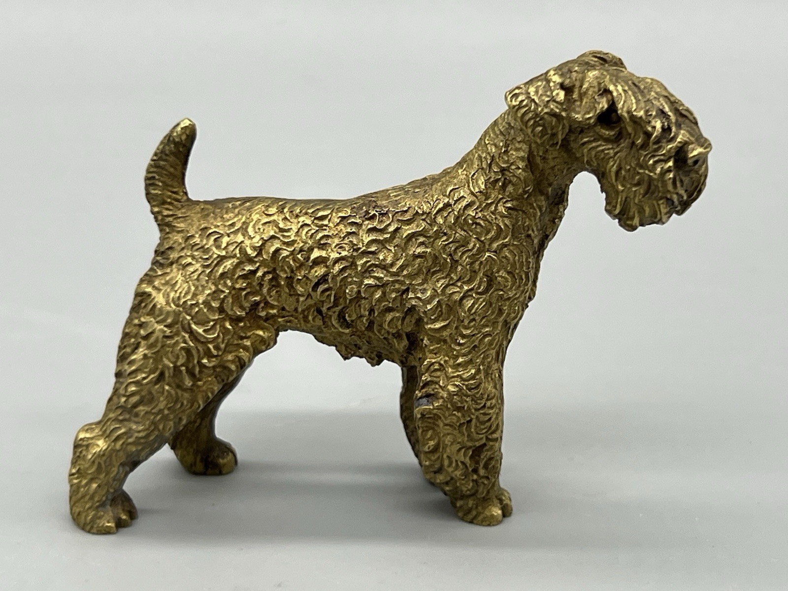 VTG Austrian Cold Painted Bronze Airedale Terrier 2.75” Long NICE VTG Austrian Cold Painted Bronze Airedale Terrier 2.75” Long NICE