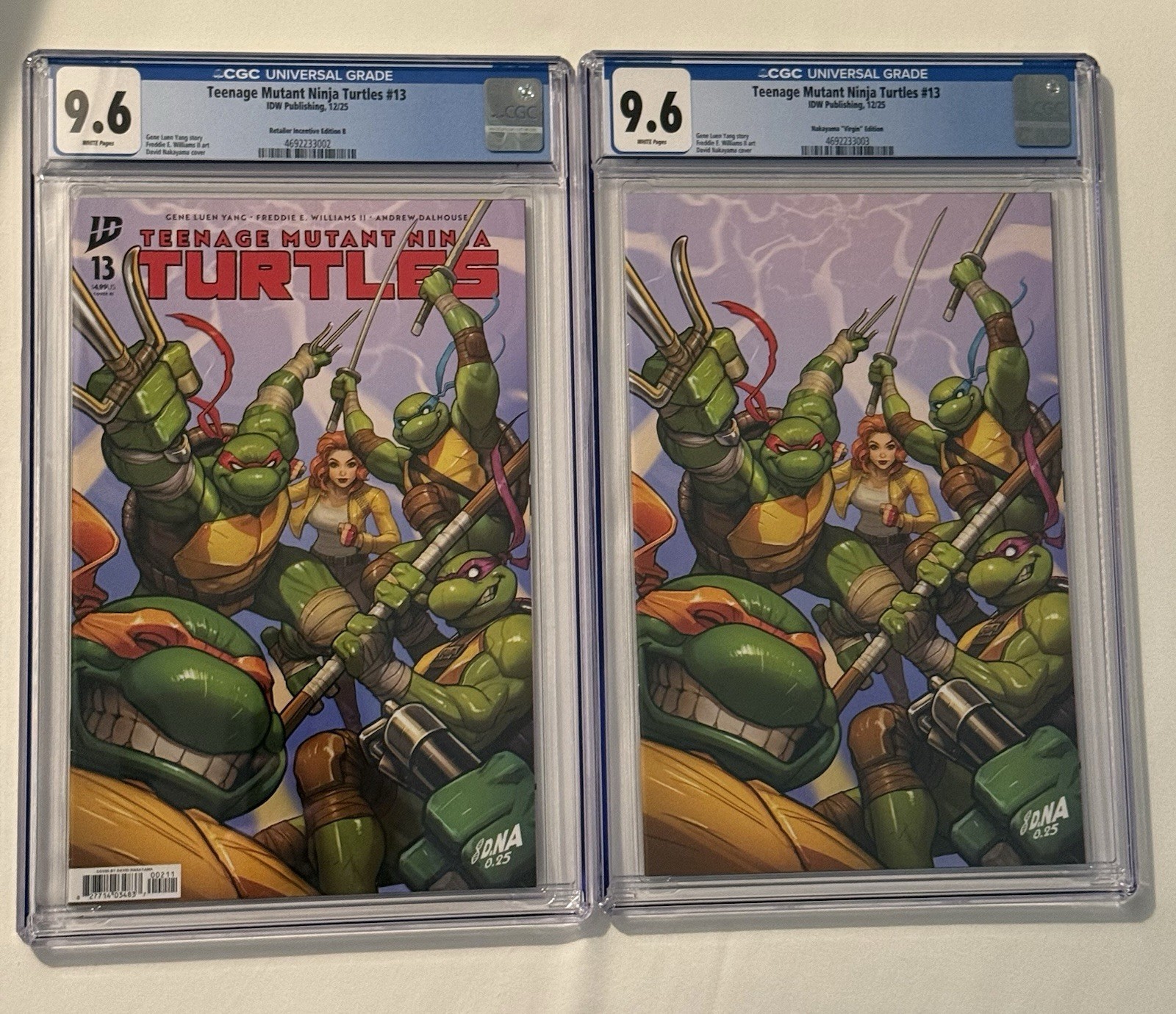 TEENAGE MUTANT NINJA TURTLES #13 1:250 DAVID NAKAYAMA (Trade & Virgin)