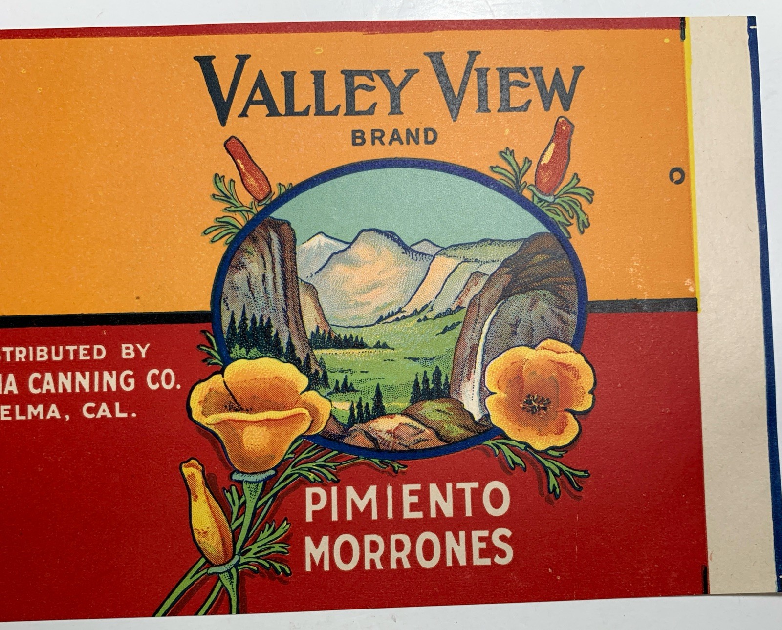 Scarce Can Label Valley View Peppers Selma California C 1930 NOS
