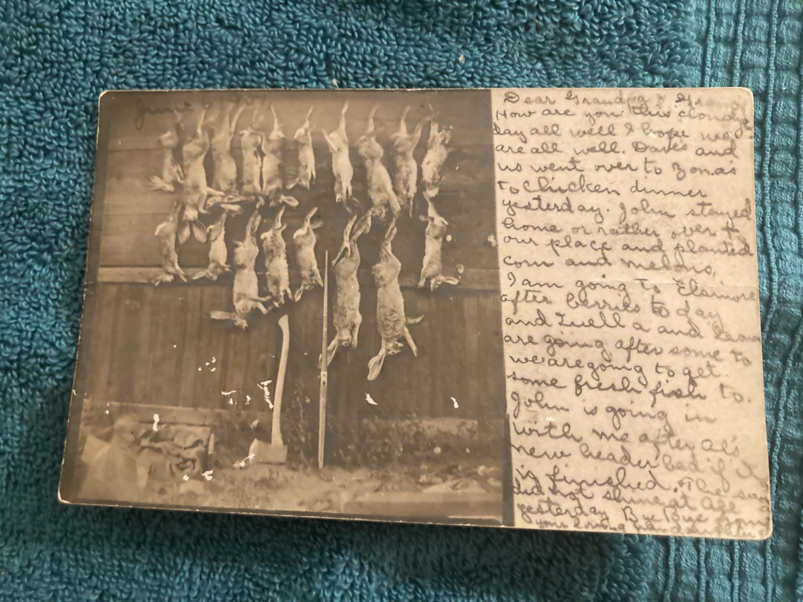 RPPC Rabbit Hunting Lake Elsinore California Posted 1907 to: Garvanza RPPC Rabbit Hunting Lake Elsinore California Posted 1907 to: Garvanza