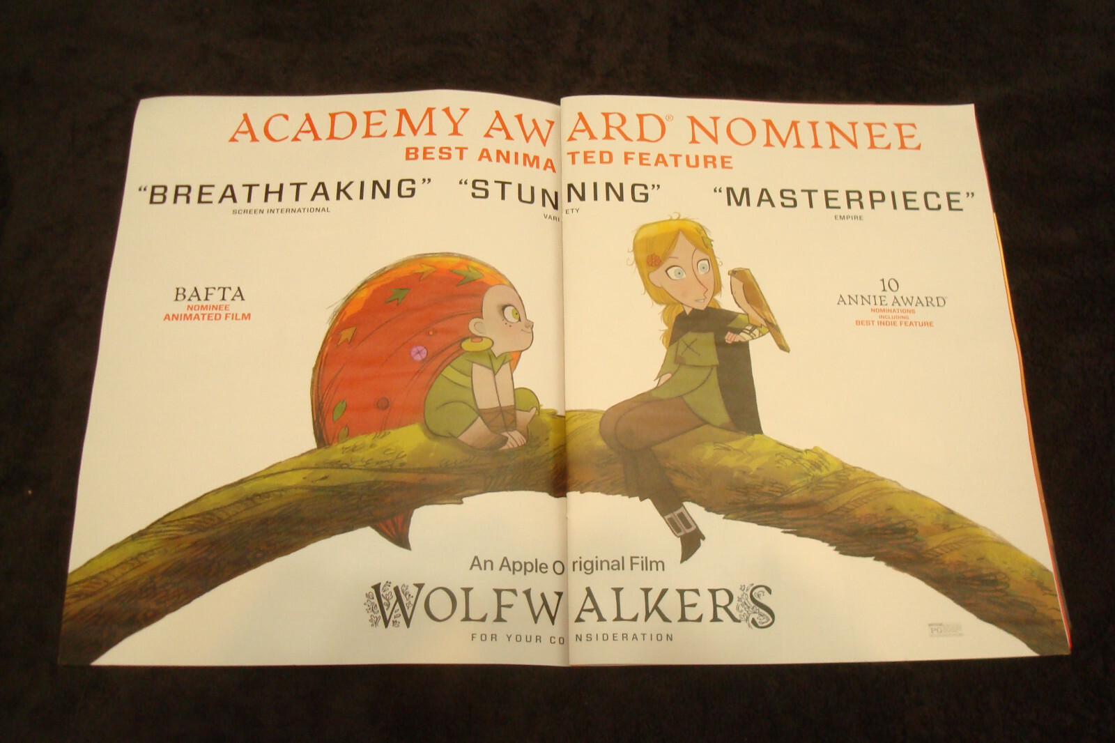 WOLFWALKERS 2021 Oscar ad Robyn with falcon & UNITED STATES VS. BILLIE HOLIDAY