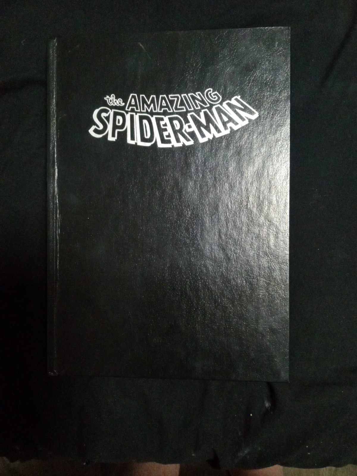 Marvel Masterworks: The Amazing Spider-Man #2 (Marvel Comics August 2003)