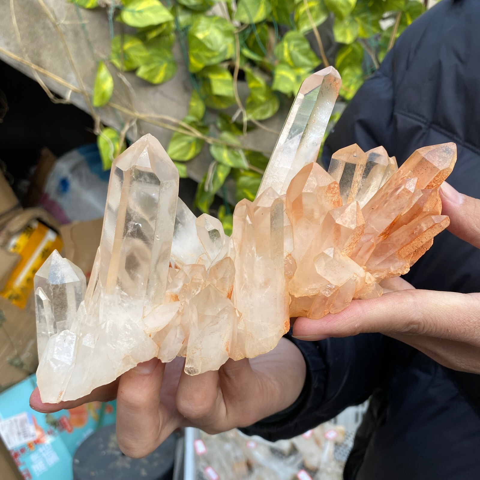2.1LB A+Large Natural clear white Crystal Himalayan quartz cluster /mineralsls