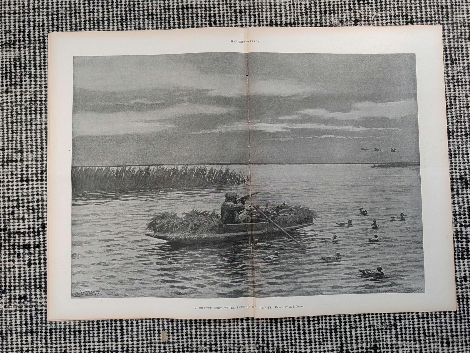 1896 A.B. Frost Duck Hunting Centerfold, Election Night NYC, Horse Show — Nov 14