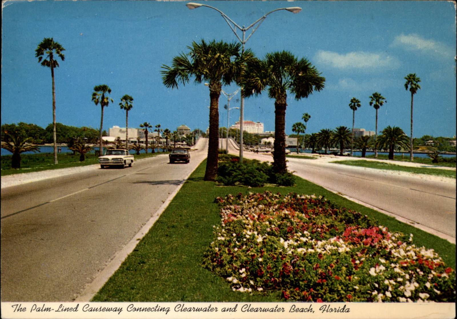 Palm lined Causeway Clearwater Beach Florida cars flowers ~ mailed 1981 postcard Palm lined Causeway Clearwater Beach Florida cars flowers ~ mailed 1981 postcard