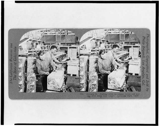 Photo:Lamanda Park California Orange Crates Packaging 1923 Stereograph