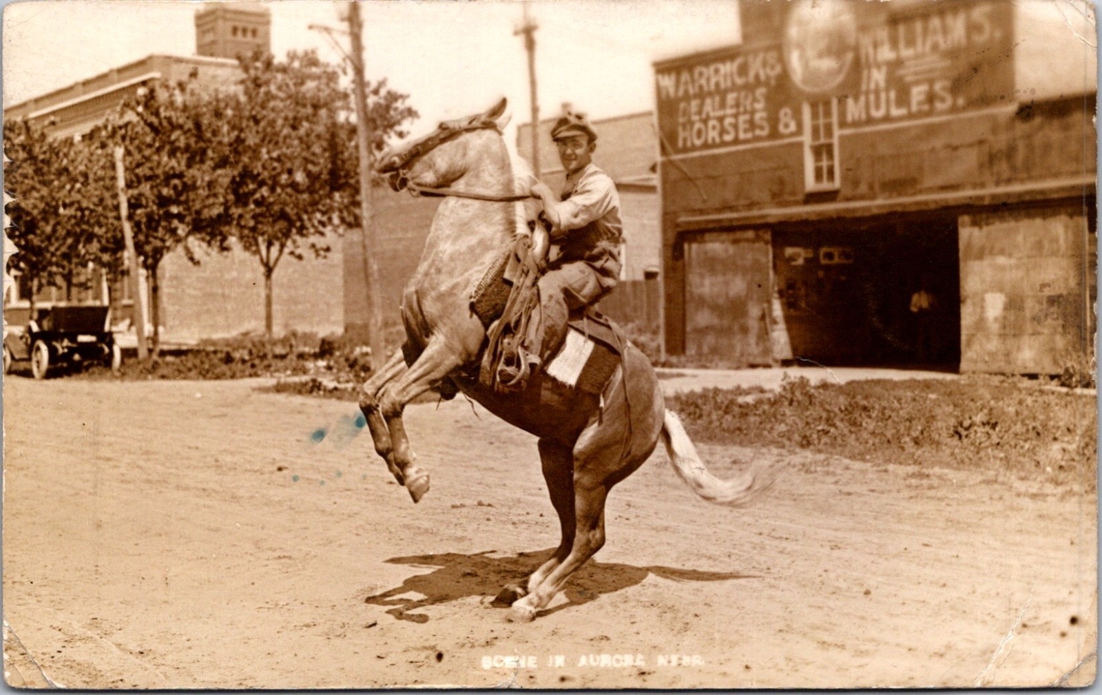 RPPC Real Photo Postcard Aurora Nebraska Dealers in Horses & Mules Trick Horse