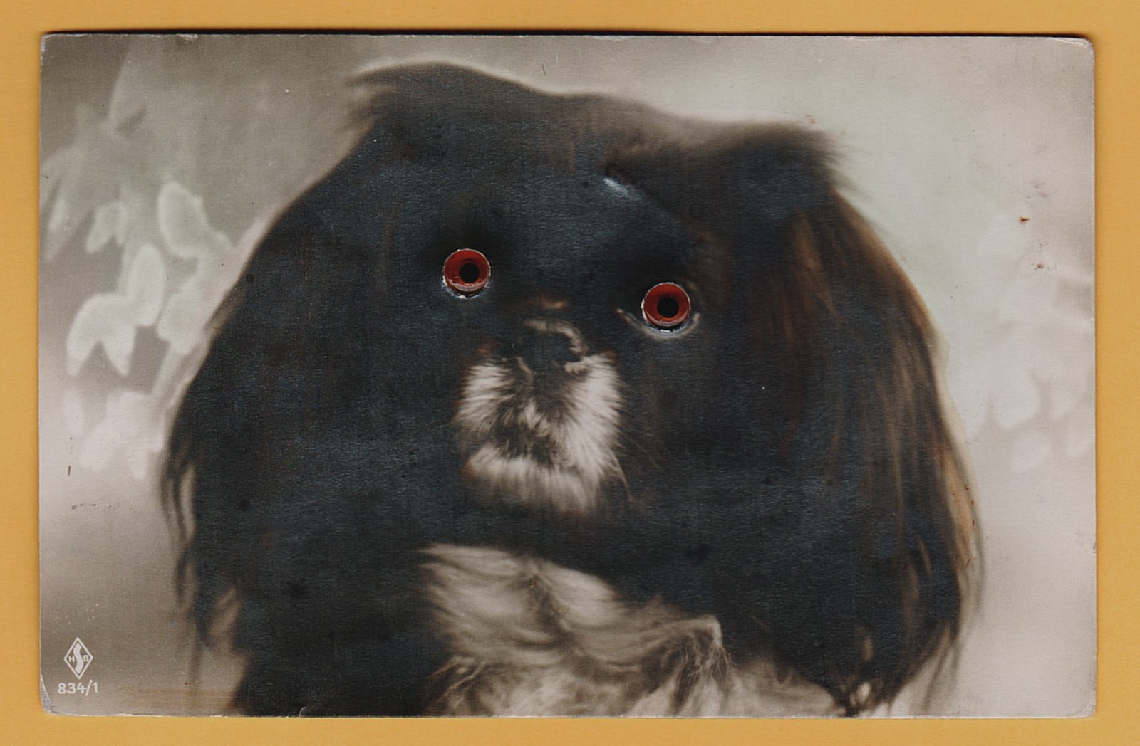 Antique German Novelty Postcard Dog with Plastic Eyes – Googly Eyes 834/1 D.R.G.