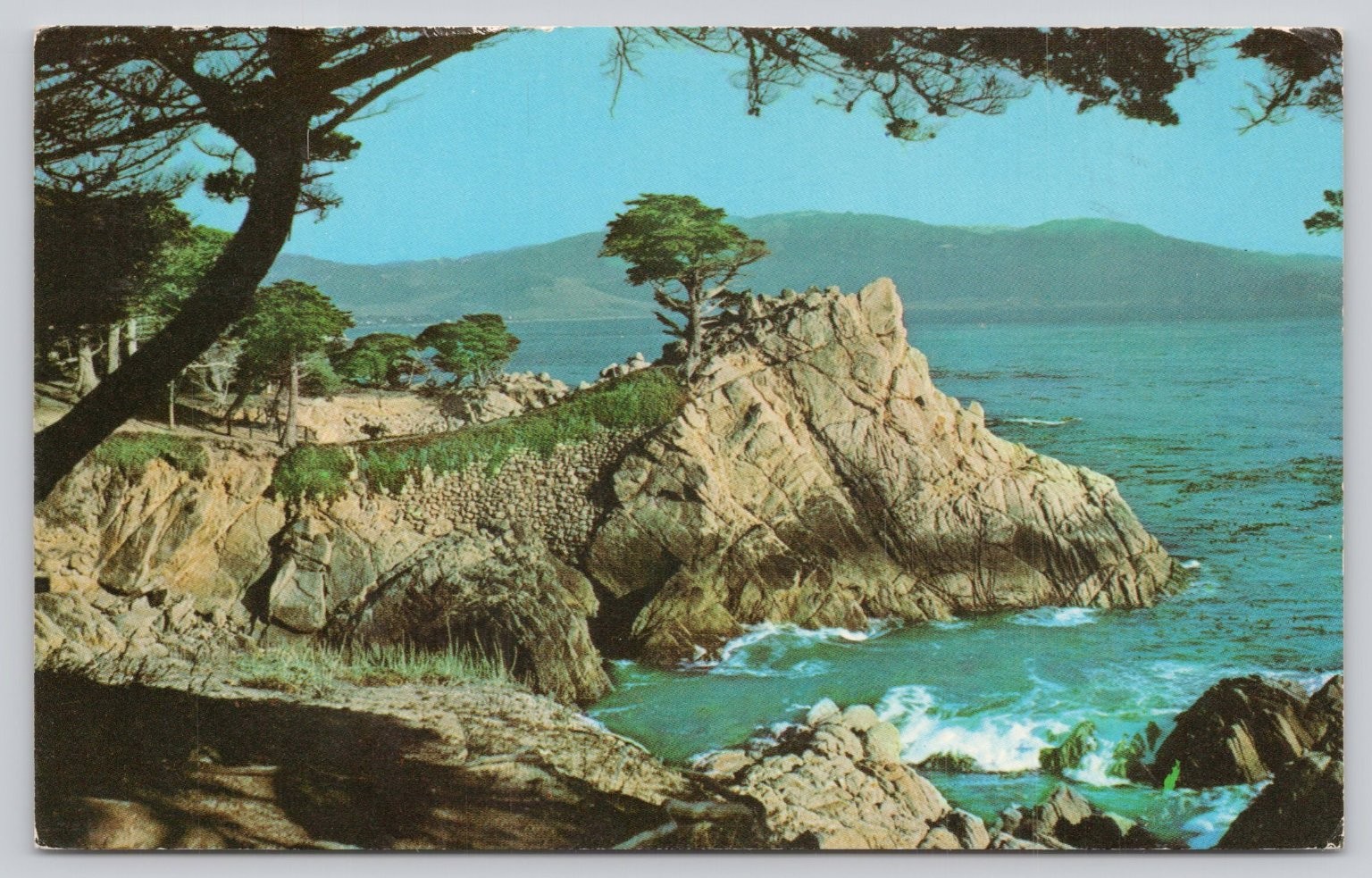 Vintage Lone Cypress Tree Carmel Bay CA Postcard 1960 Pacific Grove Postmark