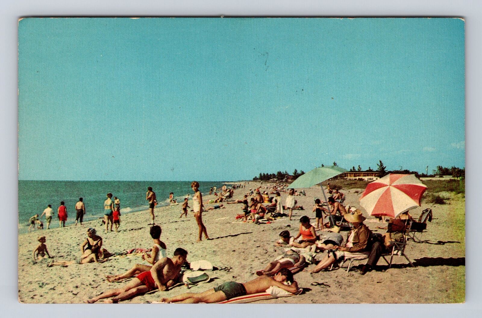 Englewood FL-Florida, Englewood Beach, Sunbathing, Vintage Souvenir Postcard