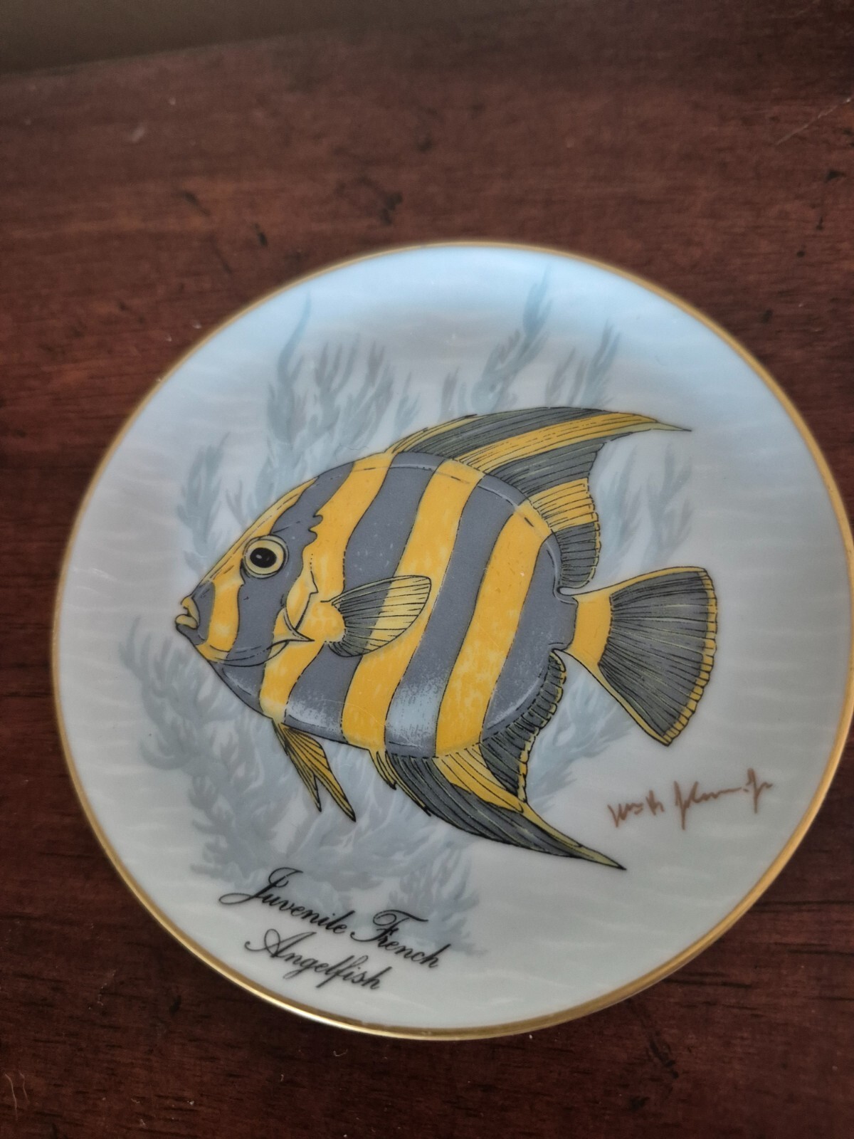 Kaiser W Germany Juvenile French Angelfish small plate