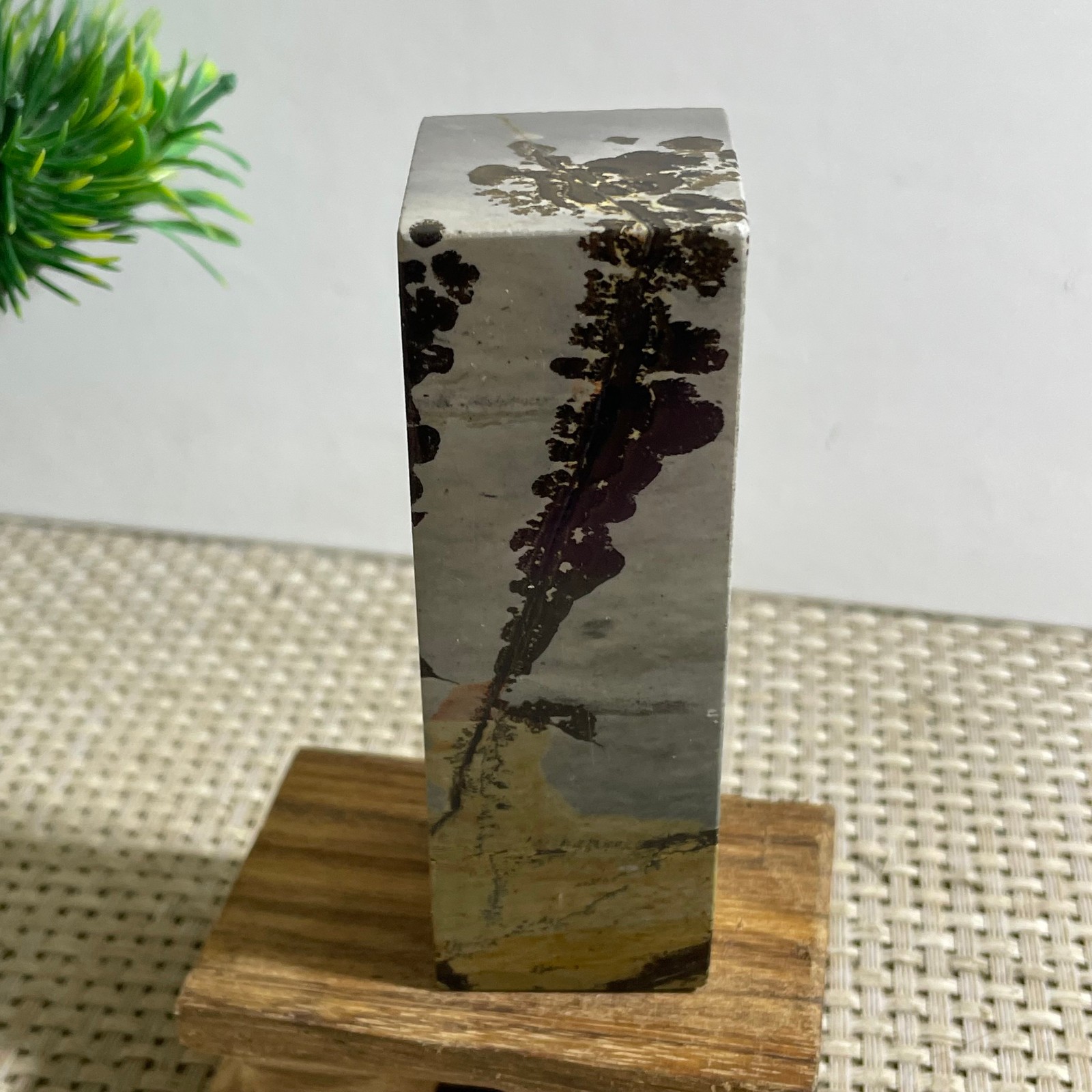 216g Beautiful Chinese Dendritic Limestone Picture Stone Guohua - Rare