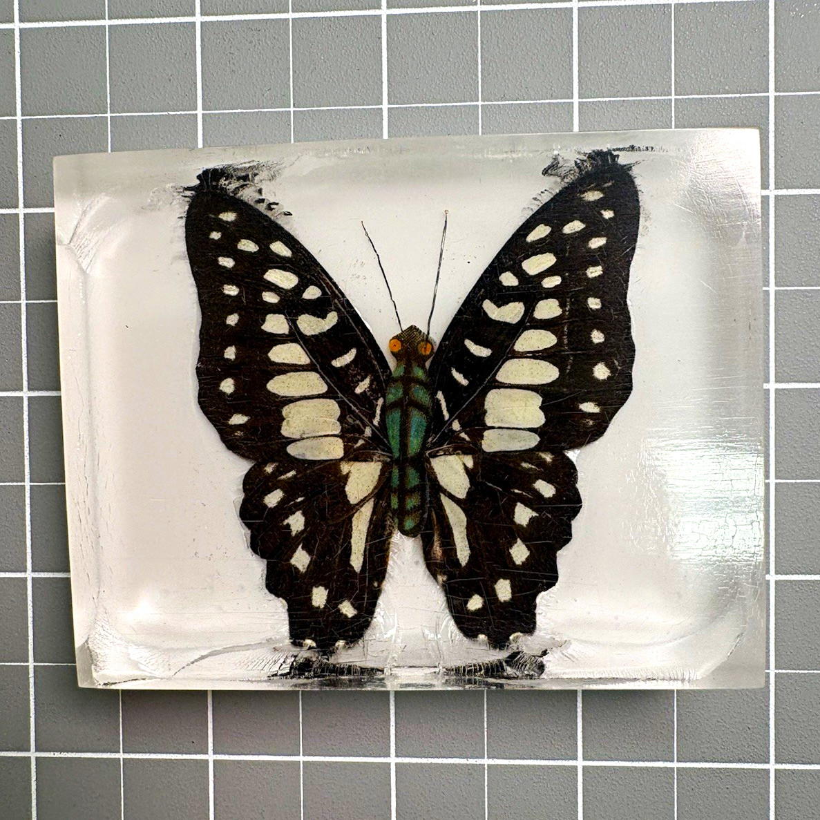 Clear Resin Paperweight Block with Black & White Butterfly Design