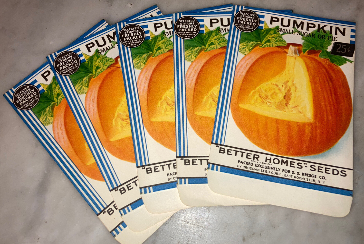 Lot: 5 Vintage Better Homes PUMPKIN Seed Packets, Crosman Seed Co., E. Rochester Lot: 5 Vintage Better Homes PUMPKIN Seed Packets, Crosman Seed Co., E. Rochester