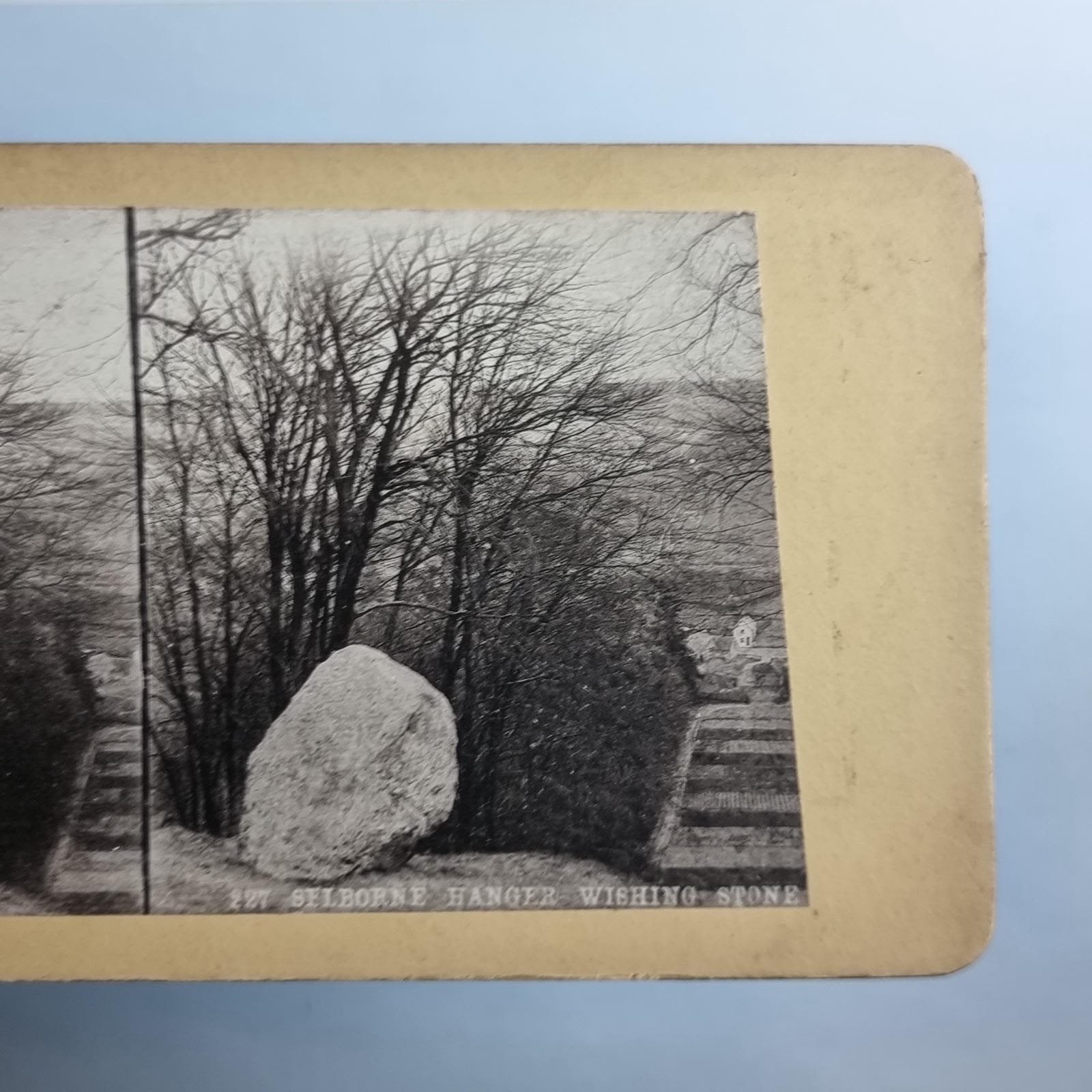 Selborne Hanger Stereoview C1880 Standard Hampshire The Ancient Wishing Stone