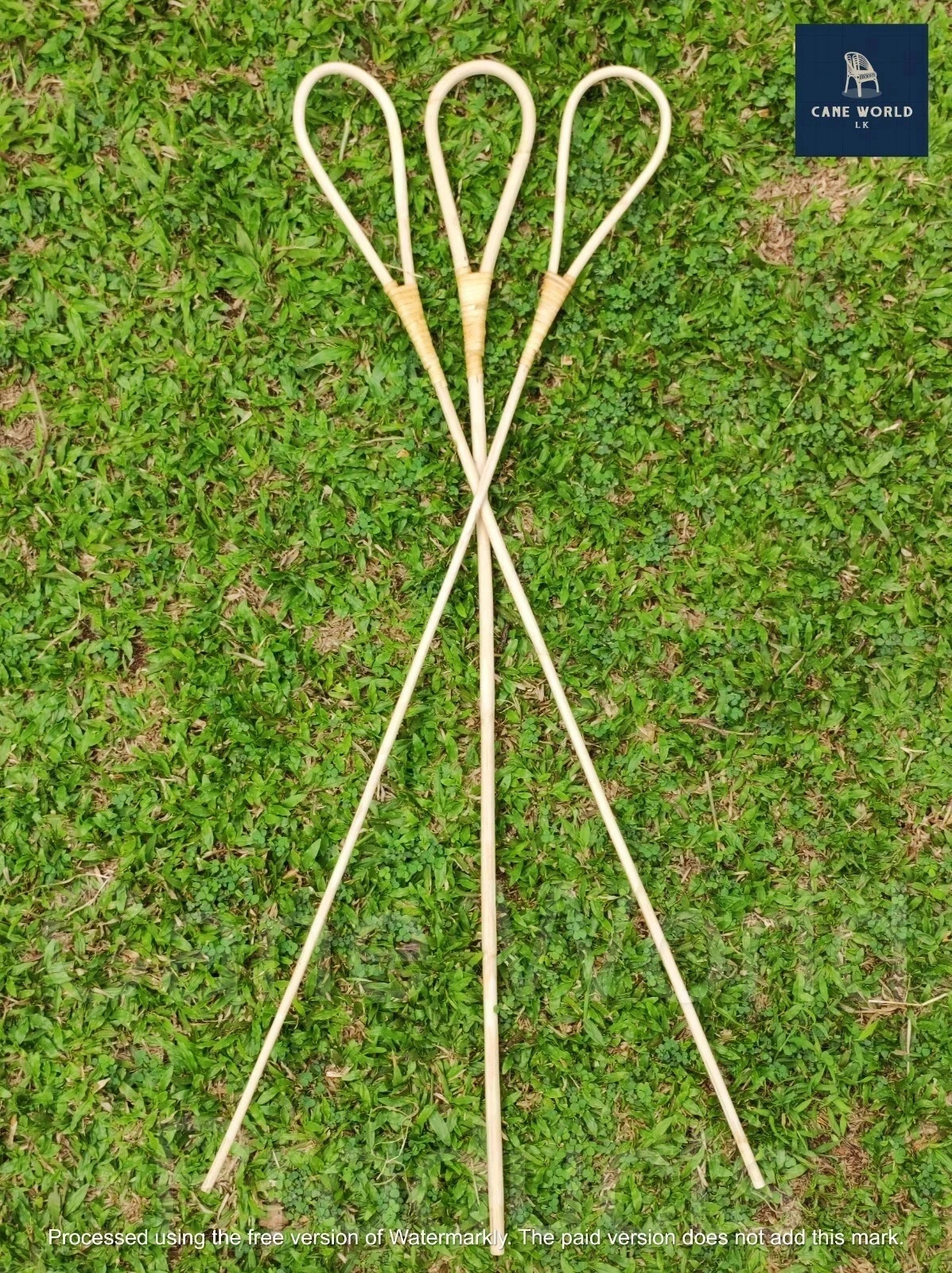 2pc Rattan Cane Scholastic Punishment sticks High Quality (Medium 0.6 - 0.8 cm)