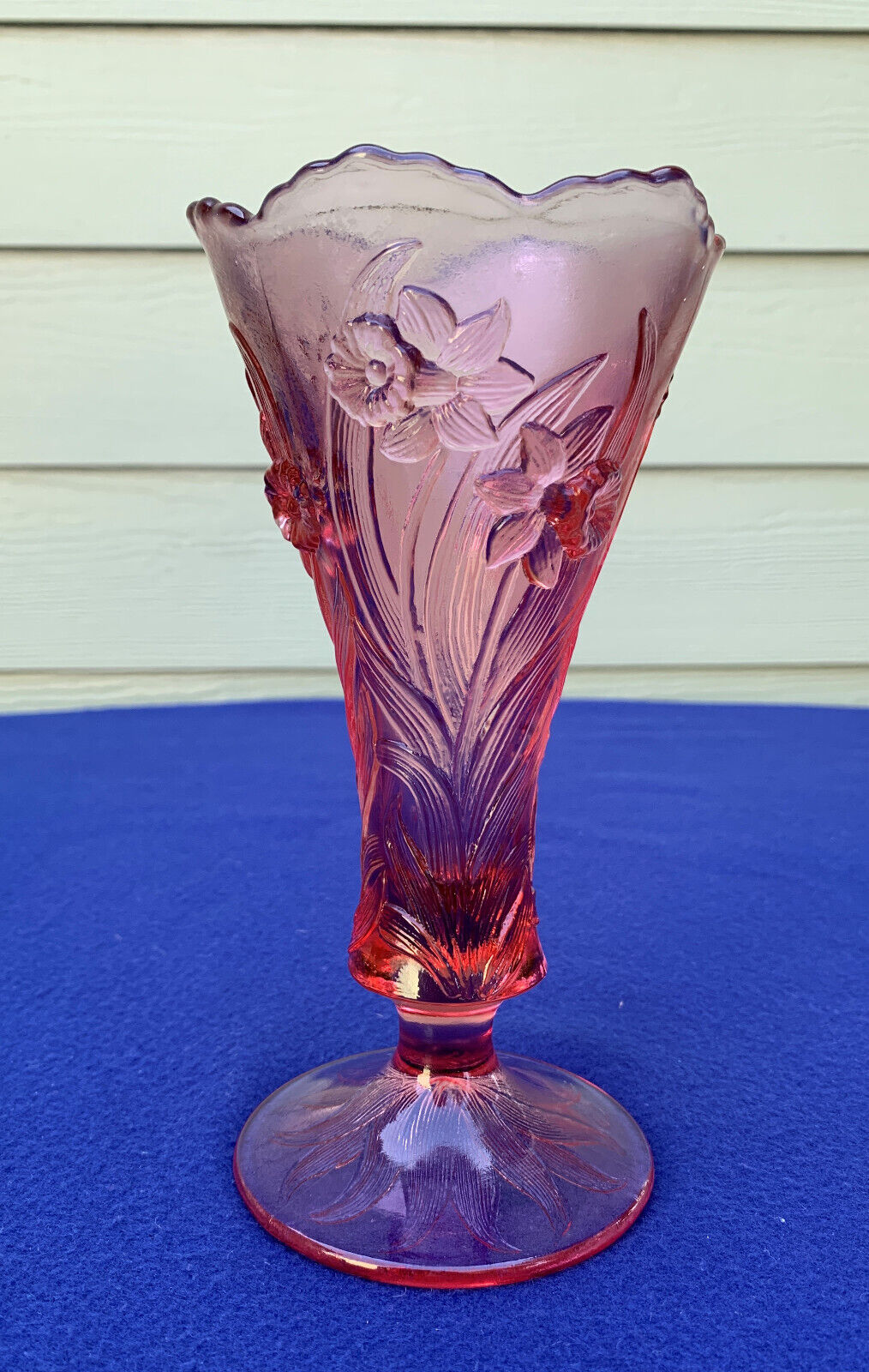 Fenton footed vase with daffodils intaglio red to pink vase, scalloped rim, 8\