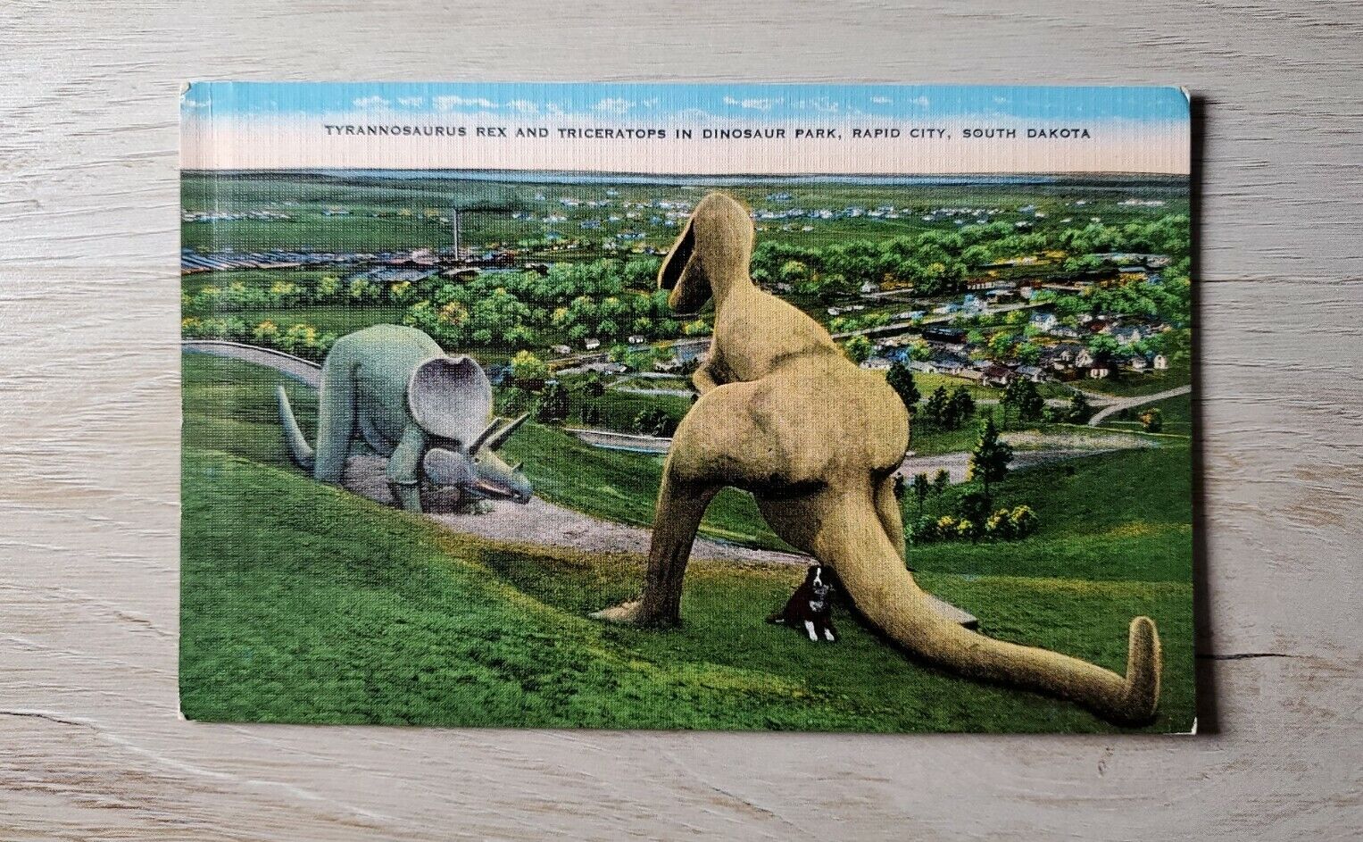 1930-45 Vintage Postcard: Rapid City, SD Tyrannosaurus Rex and Triceratops 