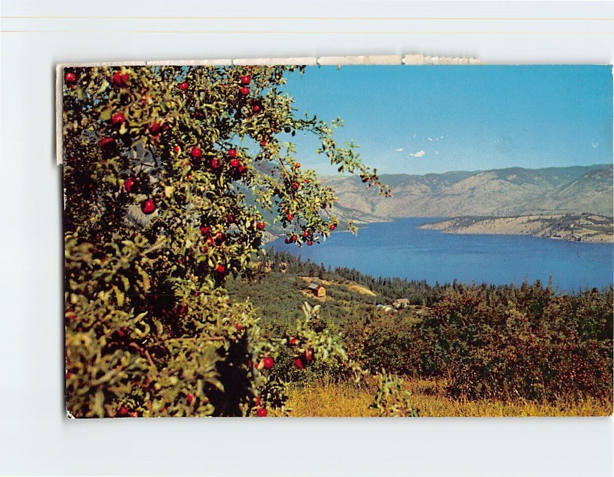 Postcard Lake Chelan, Washington