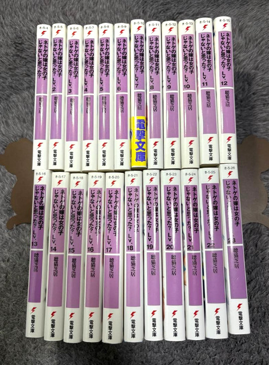 And you thought there is never a girl online? Japanese Light Novel Set Vol.1-23