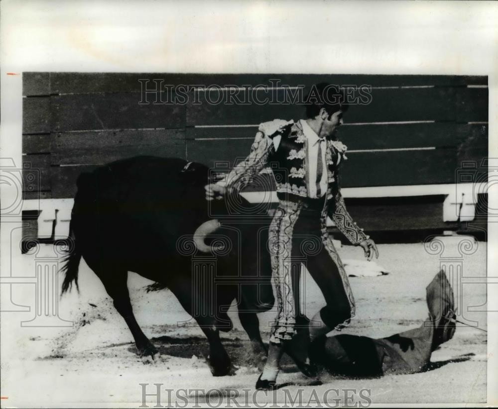 1971 Press Photo Bull Fighting Scene