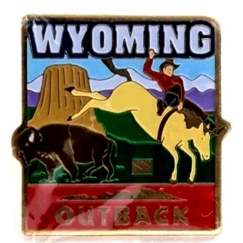 Wyoming Outback Steakhouse Devils Tower Buffalo Rodeo Travel Pin USA