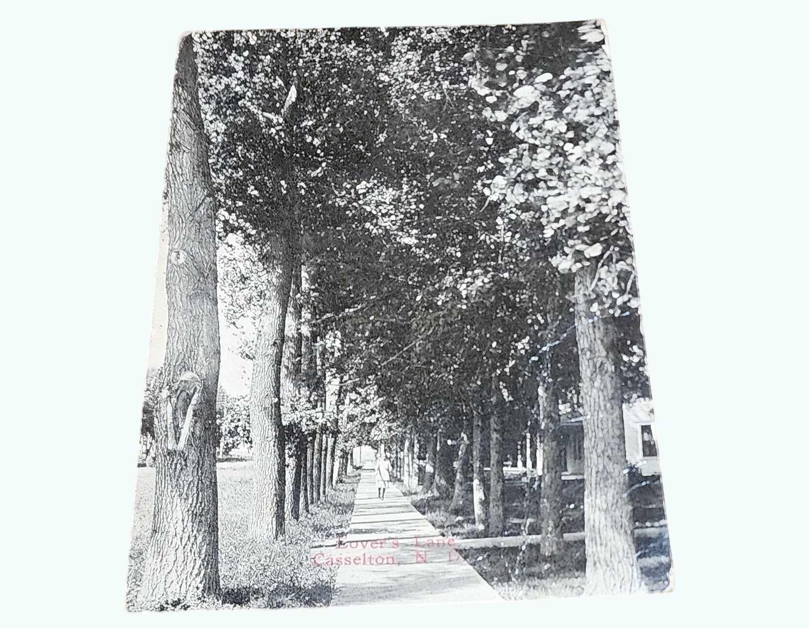 Lovers Lane Casselton ND Vintage Postcard Black & White 1910s Writing on Back