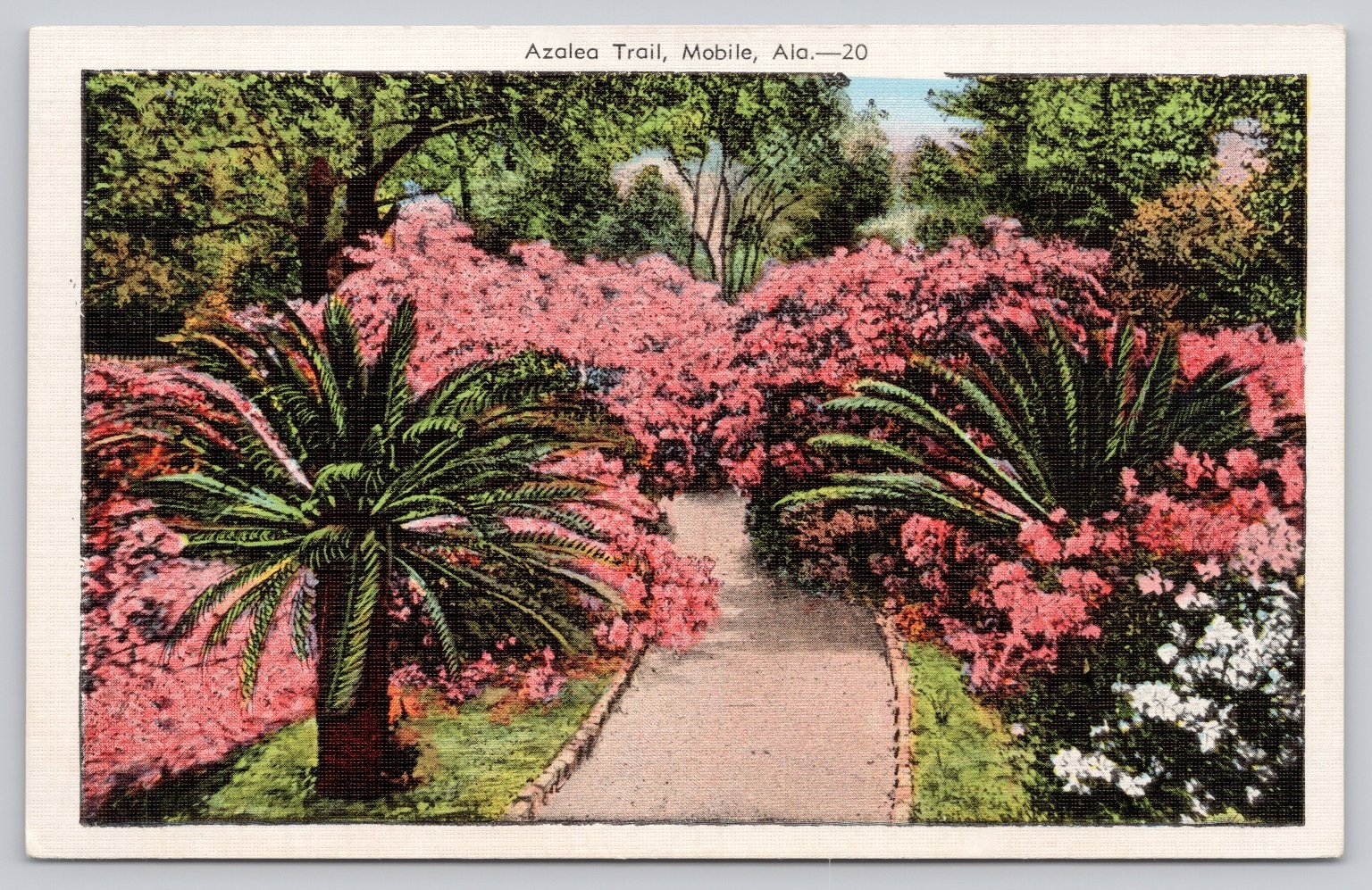 Vintage Linen Postcard Azalea Trail Mobile Alabama Floral Pathway