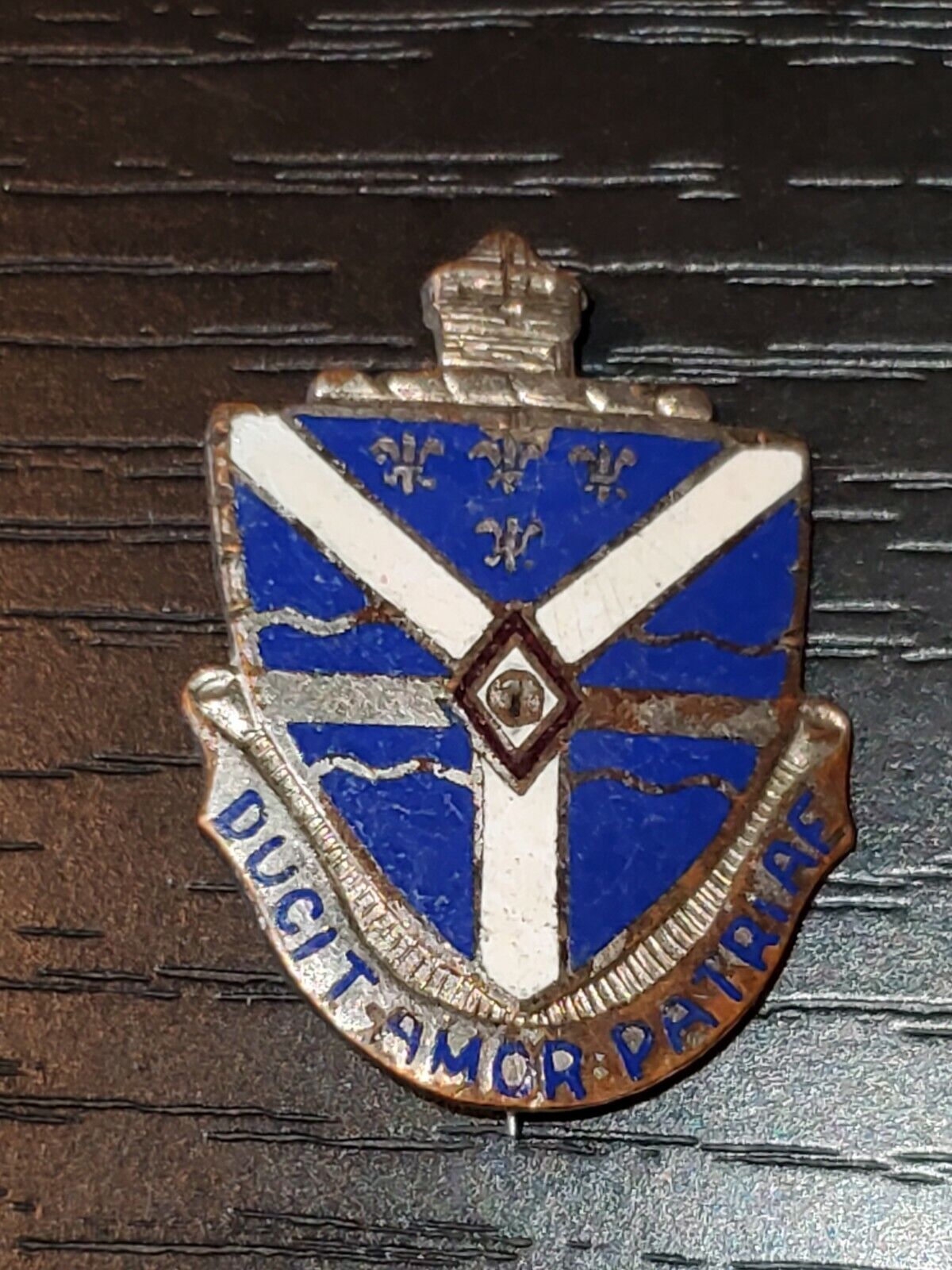 WWII US Army 131st Infantry Regt Illinois NG PB Pin DI Badge