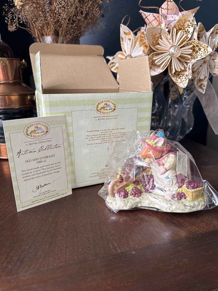 NIB Royal Doulton Brambly Hedge Old Mrs Eyebright DBH 62 Figurine