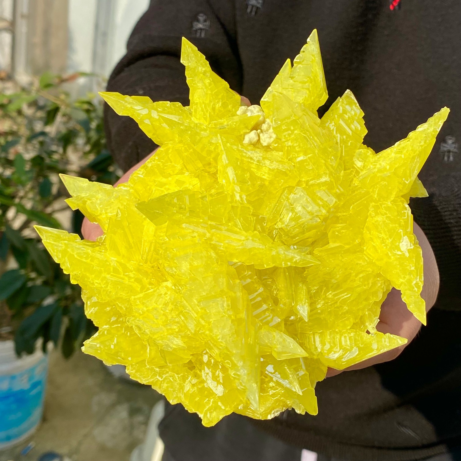 1.49LB Rare Natural yellow sulfur crystal quartz crystal mineral specimen.
