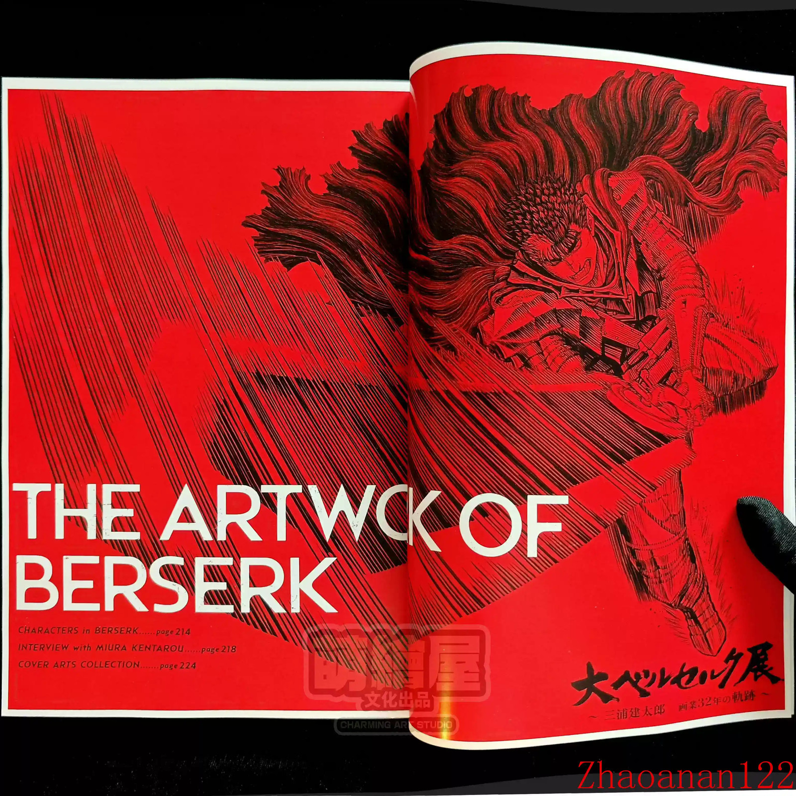 The Artwork of BERSERK Picture Collection DESIGN WORKS Character Illustration