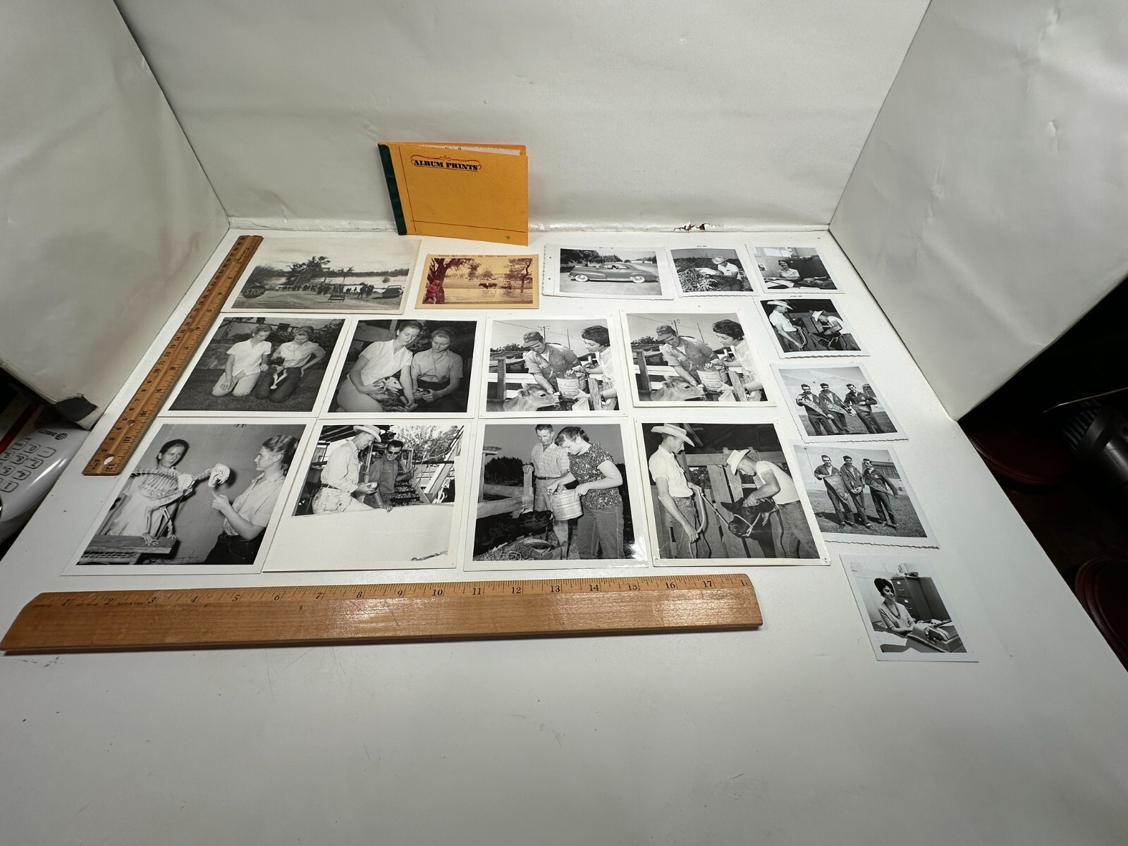 Vintage Black White Color Photos Pictures FFA Cal Aggie Picnic Day Students