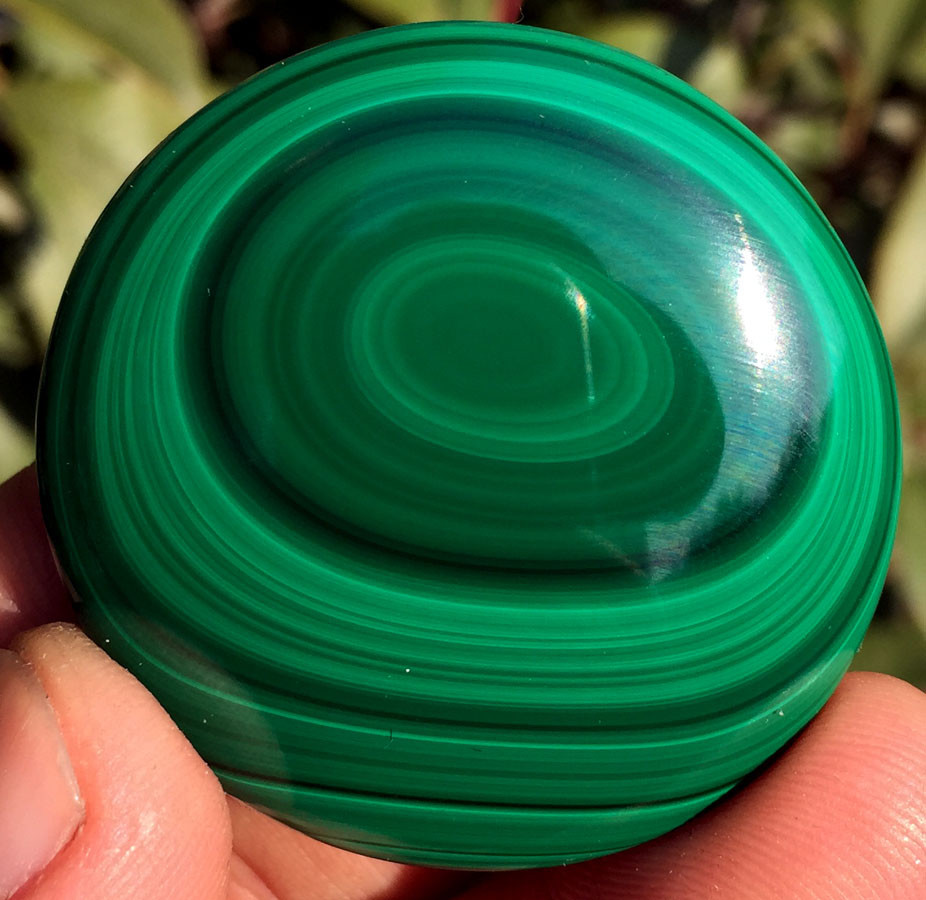 241CT TOP Boutique Fantastic RARE Green Malachite Round Card ic7436