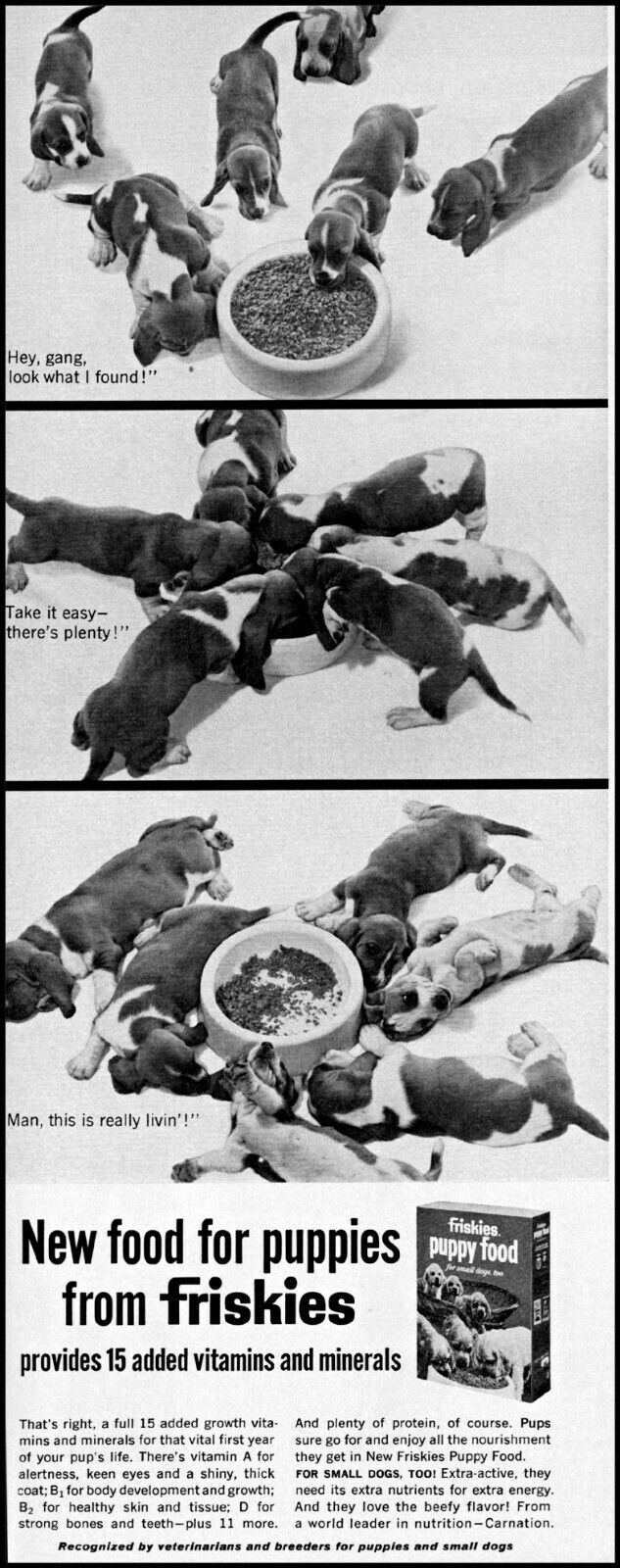 1966 Six puppies Friskies puppy food dog bowl vintage photo Print Ad adL68