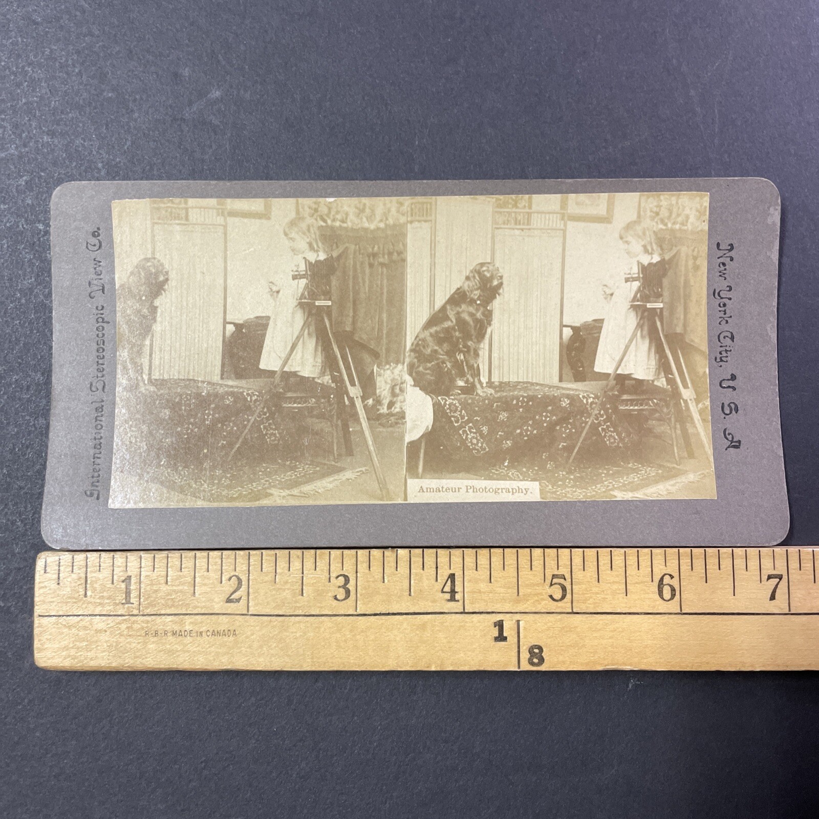Amateur Photography Stereoview International Stereoscopic View Co. New York City