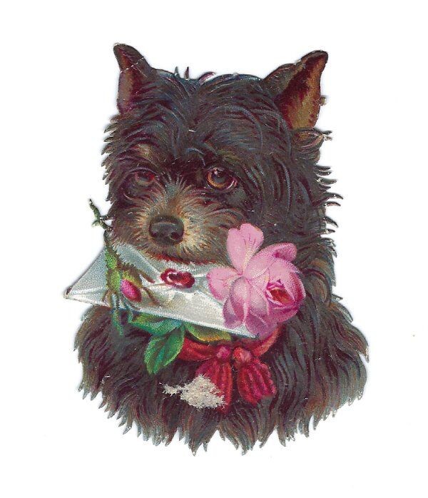 1888 Chromo decoupis, VICTORIAN DOG LOVE LETTER, Antique Die-Cut Scrap, 2.5\ 1888 Chromo decoupis, VICTORIAN DOG LOVE LETTER, Antique Die-Cut Scrap, 2.5\