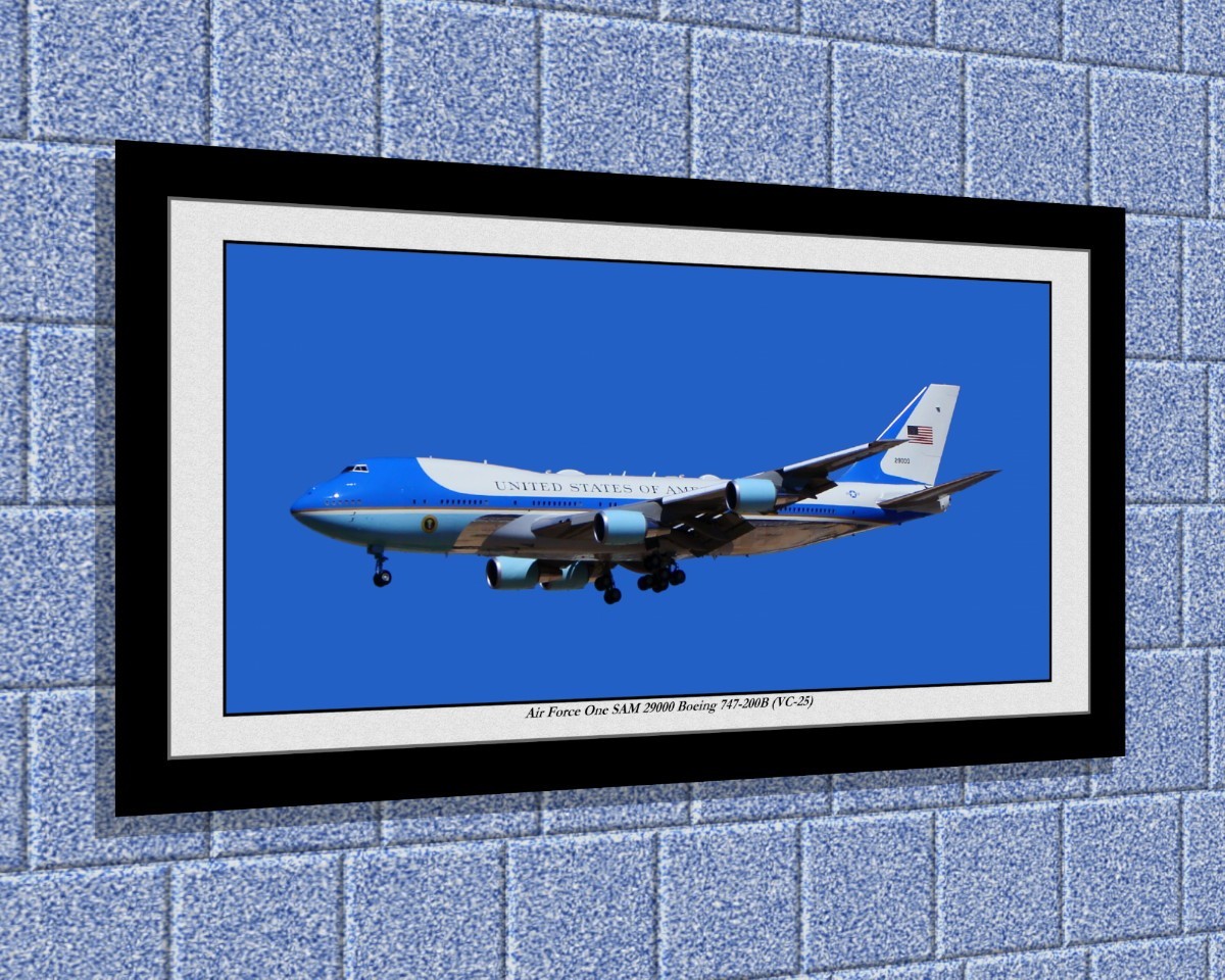 Air Force One POTUS 12x24\