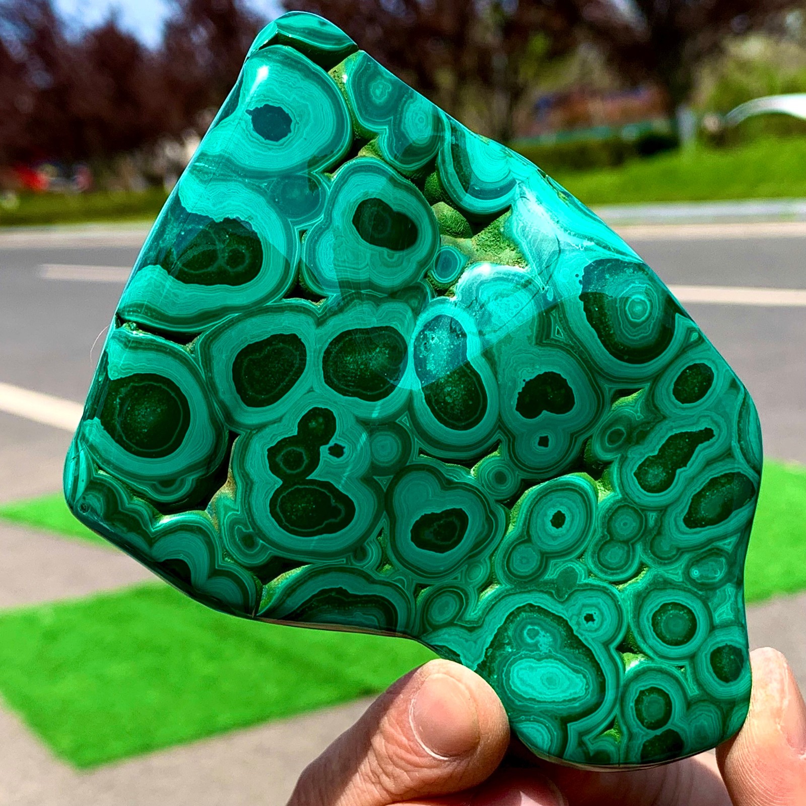 246G Natural Chrysocolla/Malachite transparent cluster rough mineral sample